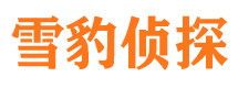 江永市侦探调查公司